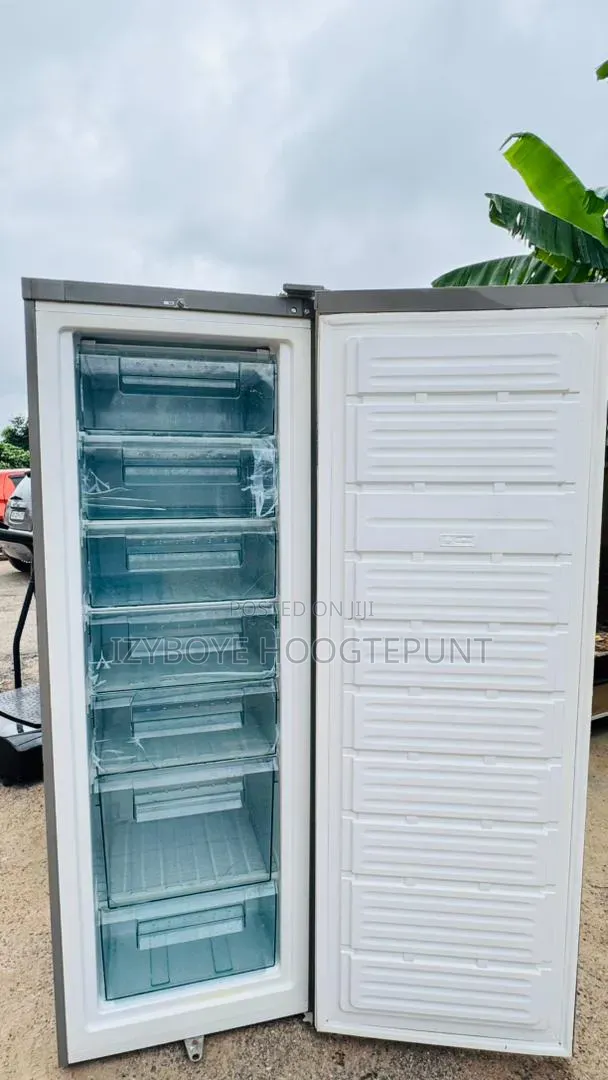 Standing Freezer