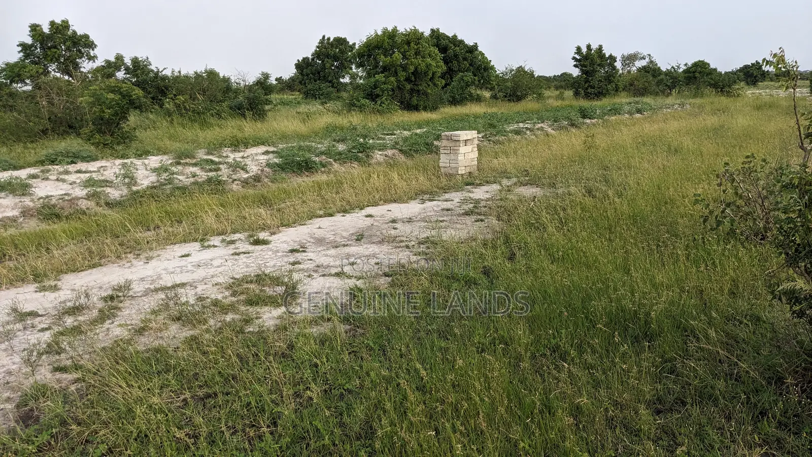 Genuine Land Free From Water Logged for Sale