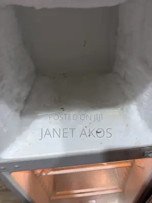Standing Fridge