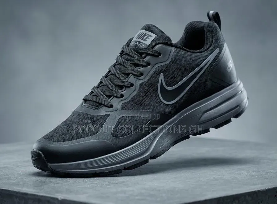 Nike Zoom Nike Pegasus