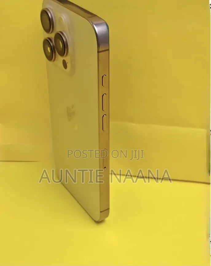 Apple iPhone 16 Pro Max 256 GB Rose Gold