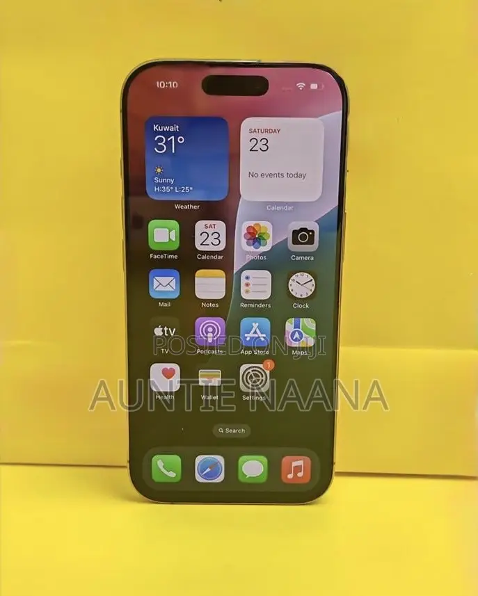 Apple iPhone 16 Pro Max 256 GB Rose Gold