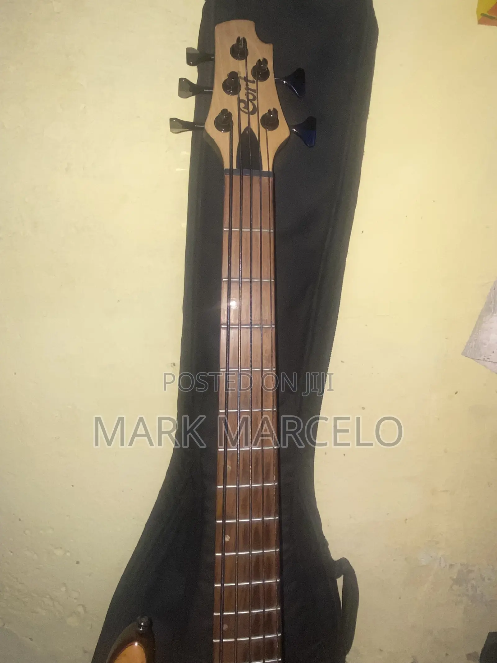 Cort Artisan B5 Element Optb 5-String Electric Bass