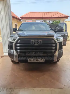 Toyota Tundra 2023 Gray