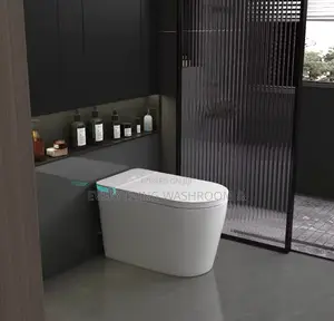 Smart Wc- Intelligent Water Closet S Trap