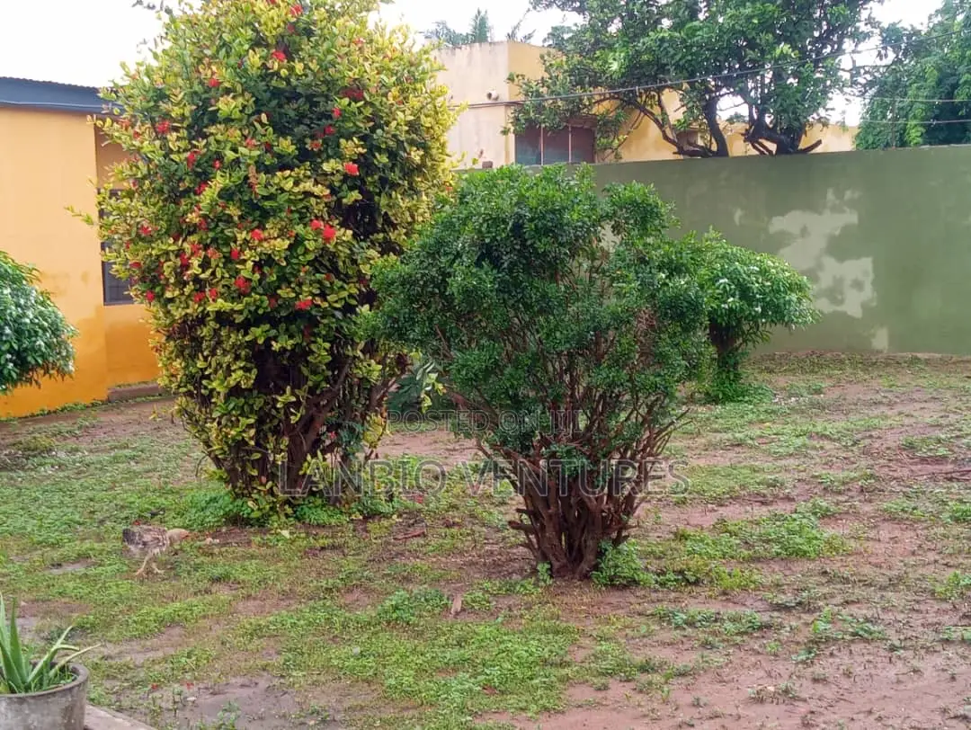 3bdrm House in Lapaz for rent