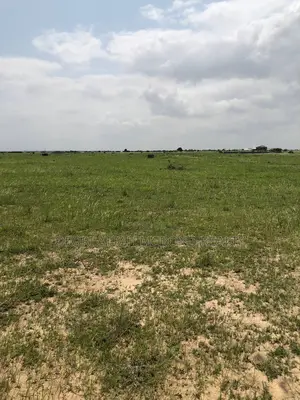 Developed Plots = Tsopoli (Prampram) Genuine Litigation-free Plots!!