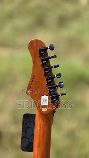 Luxars Sg17 Pro Telecaster Style Guitar