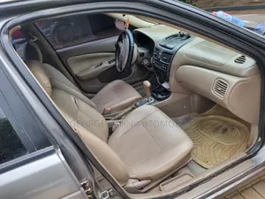 Nissan Sentra 2006 Gray