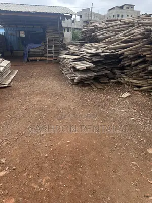 Wood for Decking for Rent