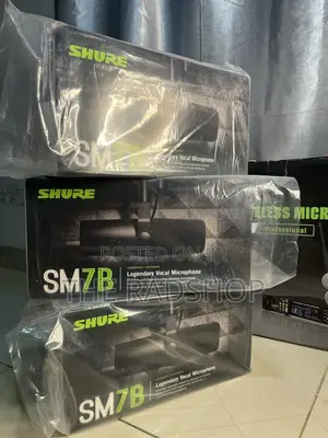 Shure Podcast Mic