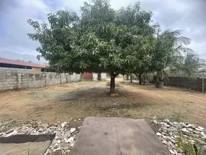 Prime 30ft × 60ft Residential Plot for Sale – Spintex ,Silver Street