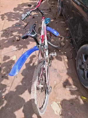 Mountain Bicycle