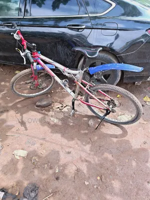 Mountain Bicycle