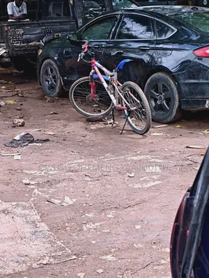Mountain Bicycle