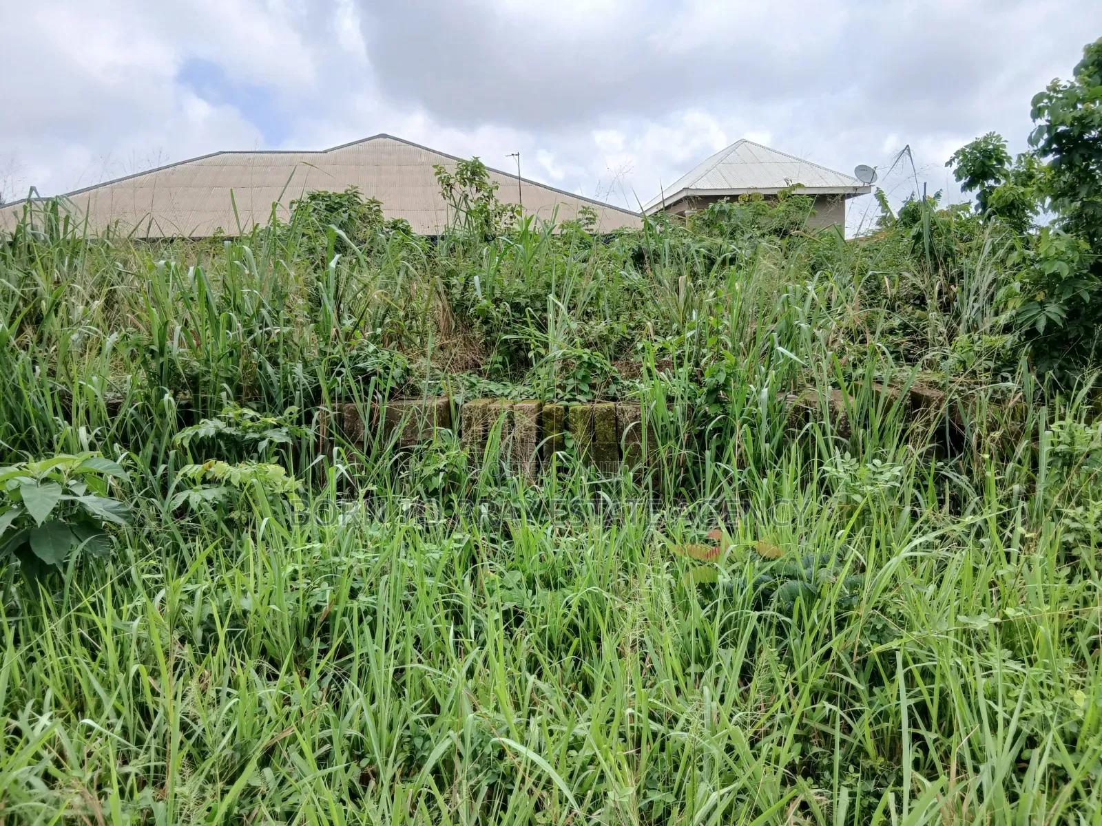 Full Plot of Land for Sale