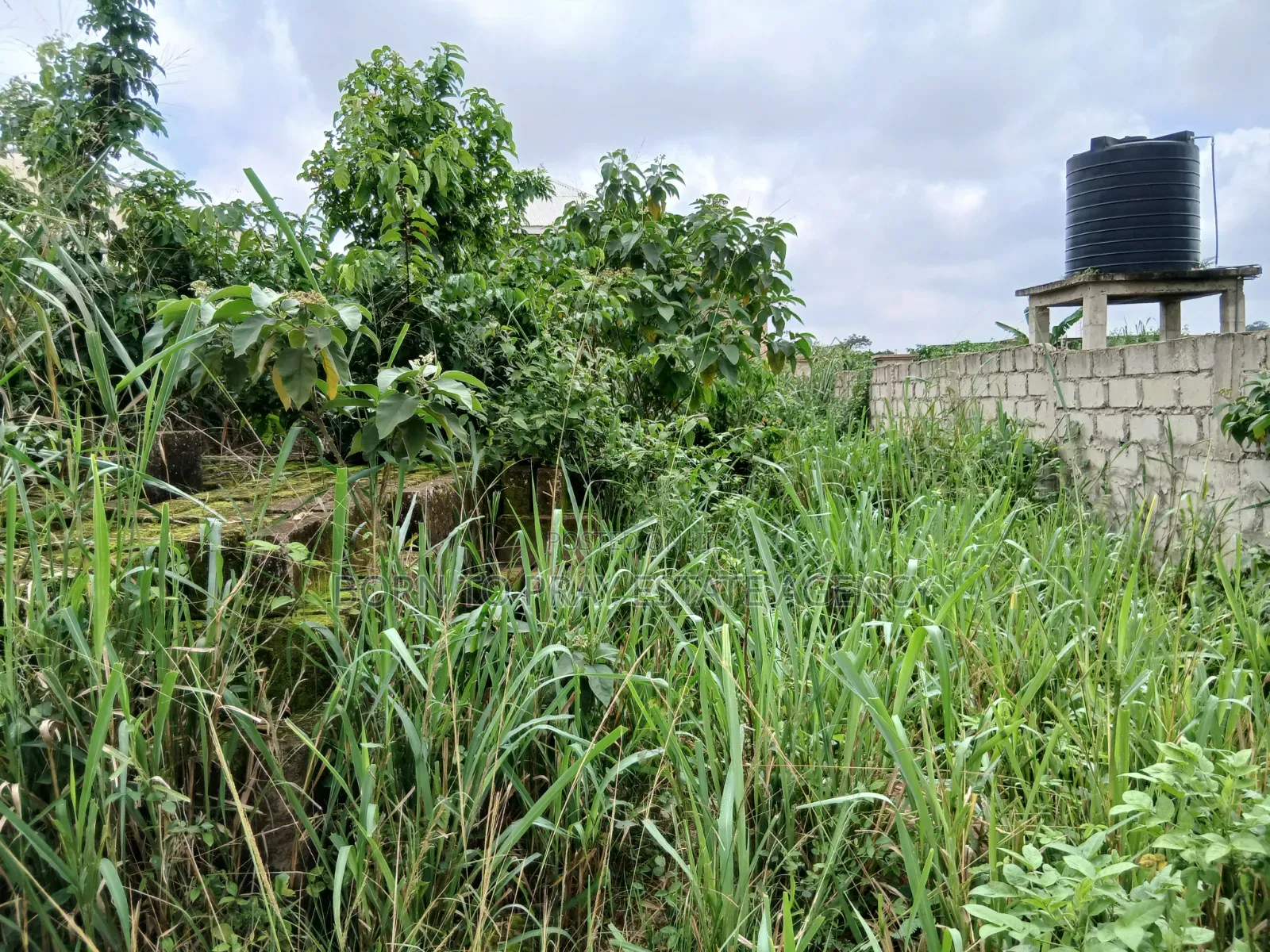 Full Plot of Land for Sale