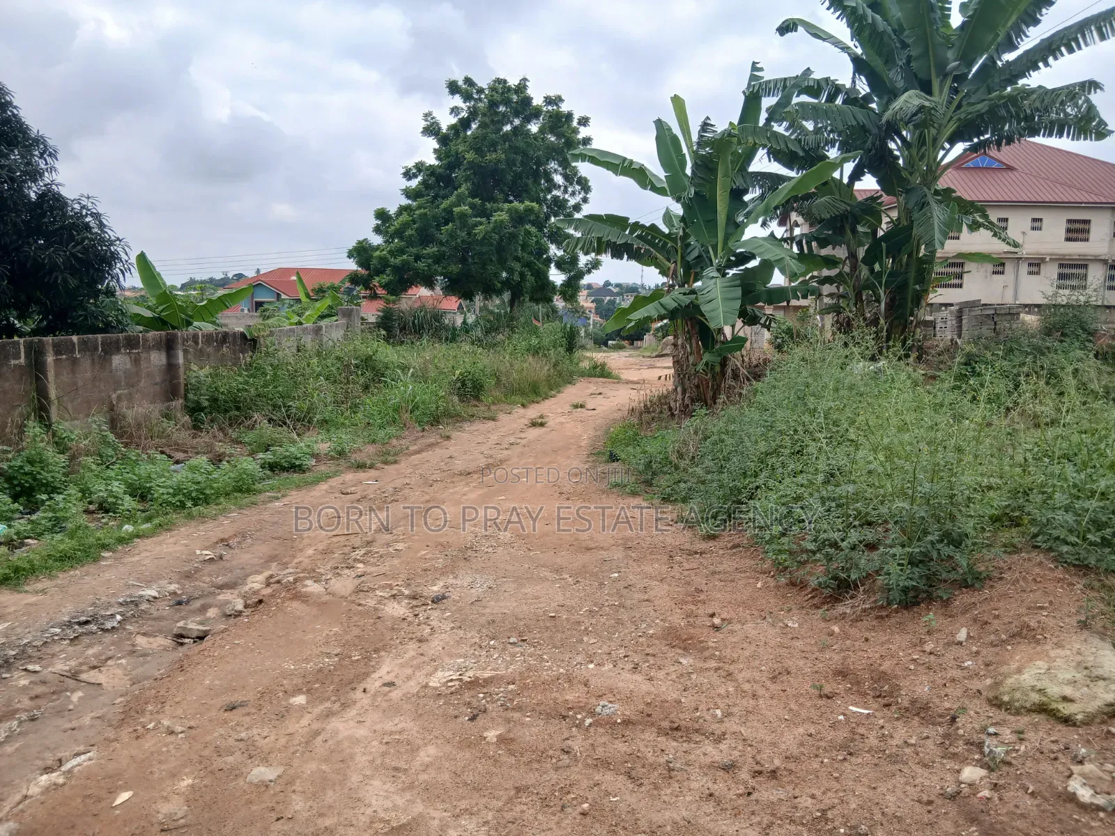 Adarko Jachie Full Plot of Land