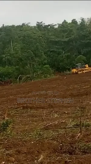 Asamankese Farmland for Sale.