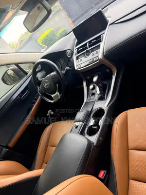 Lexus NX 300 AWD 2018 Red