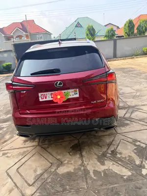 Lexus NX 300 AWD 2018 Red