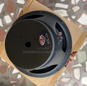 GLS Music 12-Inch 600watt Pair of Naked Speaker