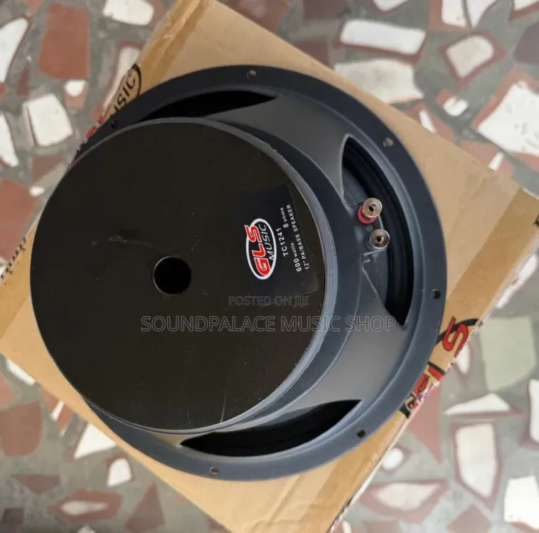 GLS Music 12-Inch 600watt Pair of Naked Speaker