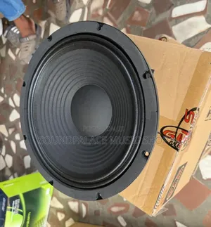 GLS Music 12-Inch 600watt Pair of Naked Speaker