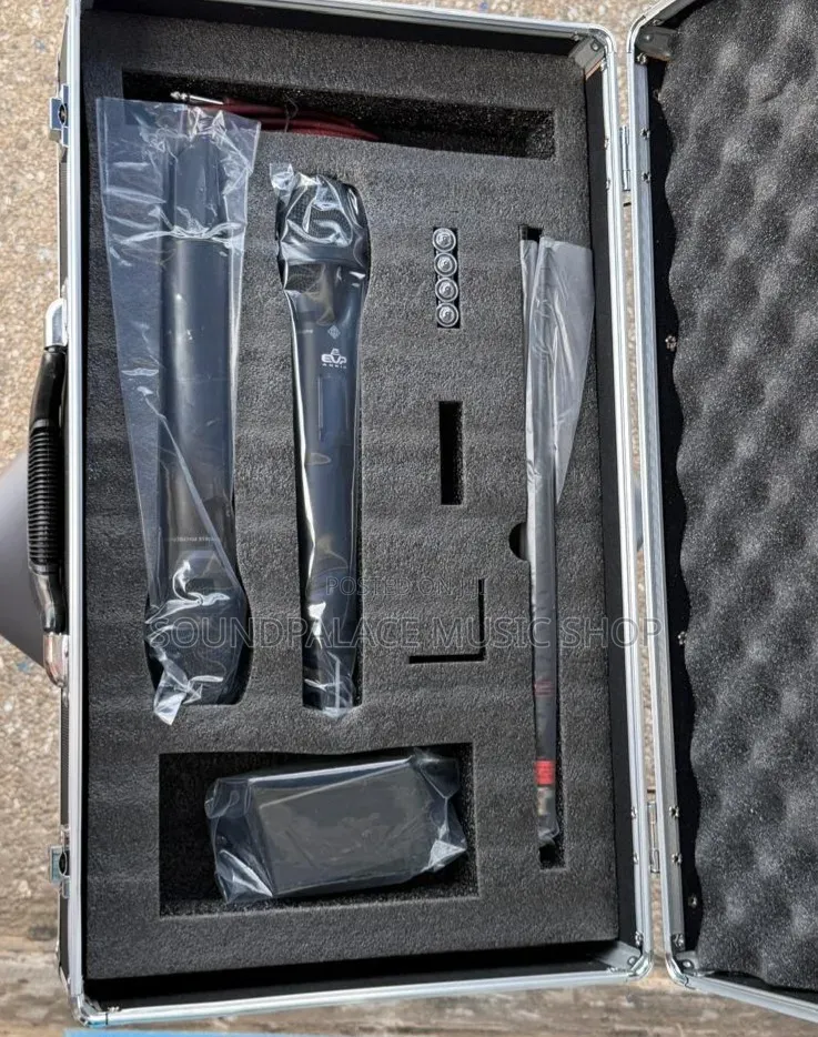 Evp Audio Ewg4 2in1 Professional Wireless Microphone