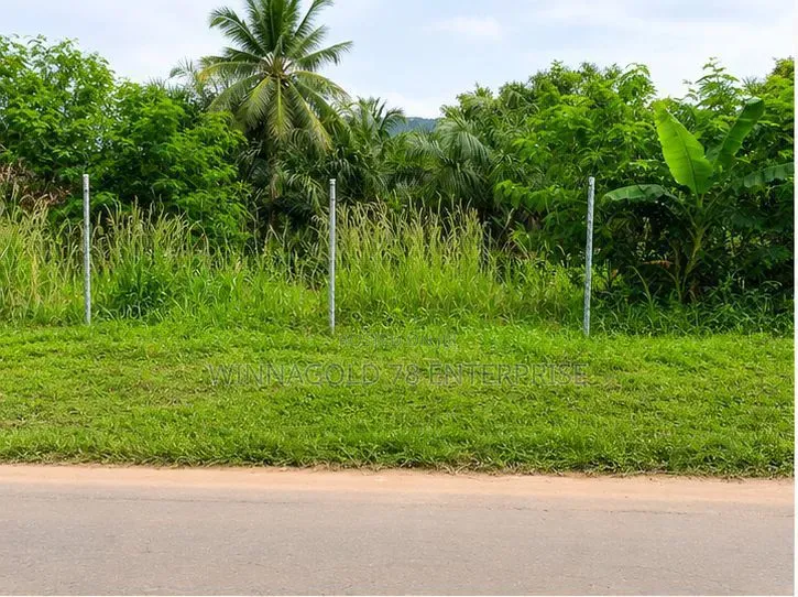 A Roadside Land for Sale at Tuska - Akosombo Opposite Akamuman SHS