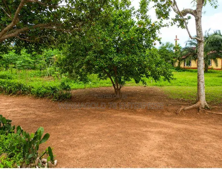 A Roadside Land for Sale at Tuska - Akosombo Opposite Akamuman SHS