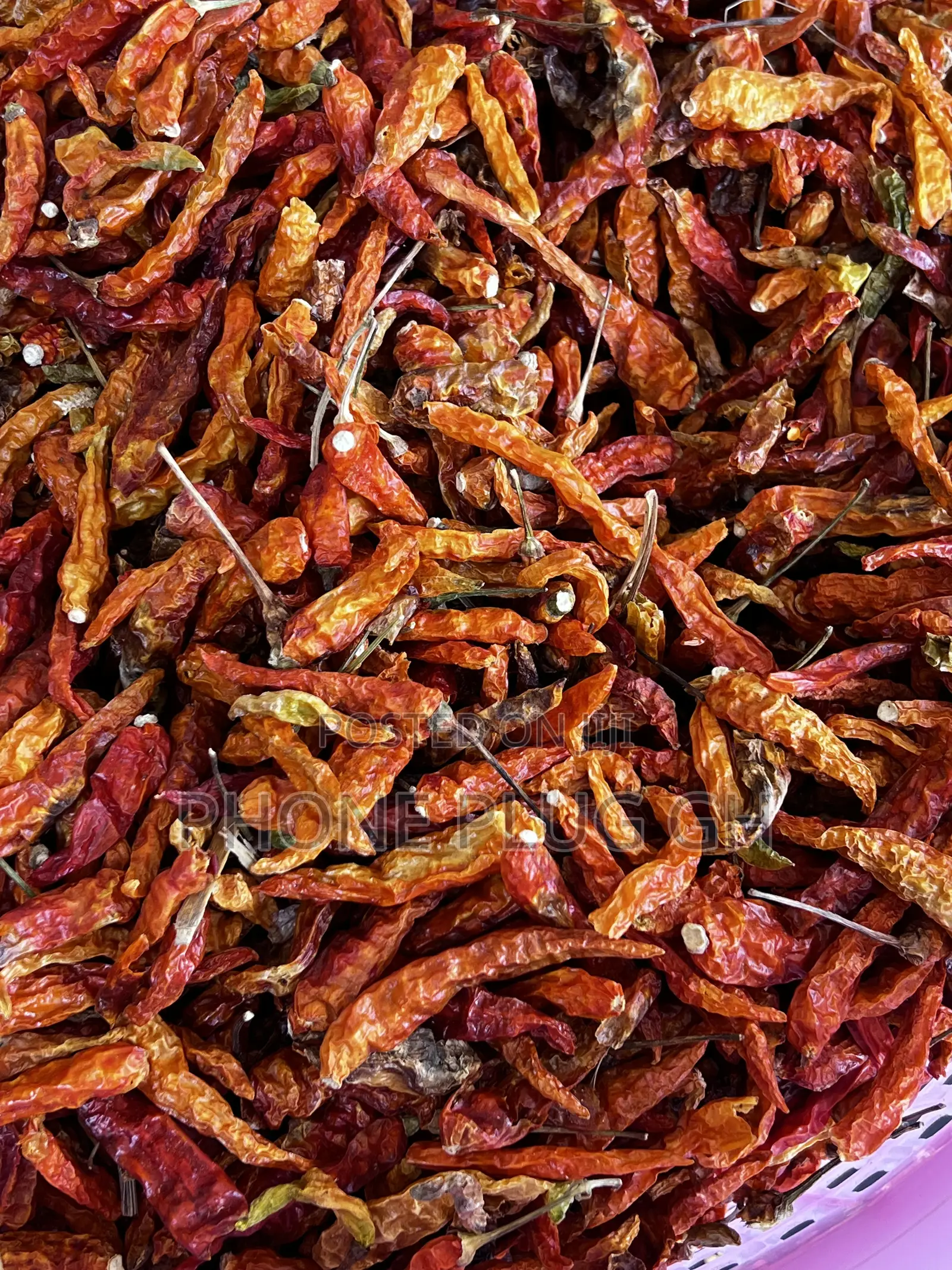 Dry Chilli Pepper