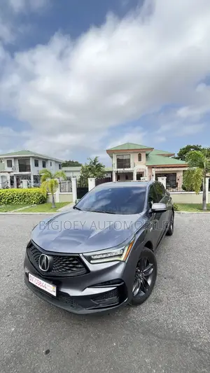 Acura RDX A-Spec Pkg SH-AWD 2020 Gray