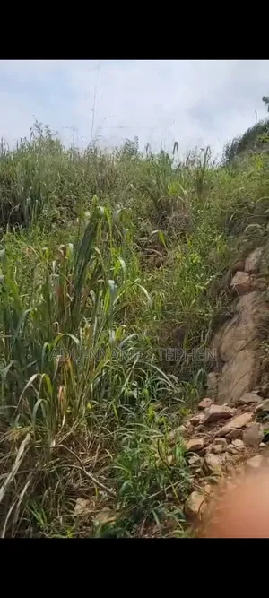 Plot of Land for Sale