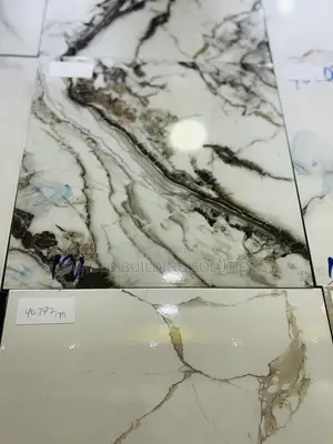 40/40 Polished Tile