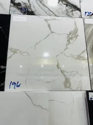 40/40 Polished Tile