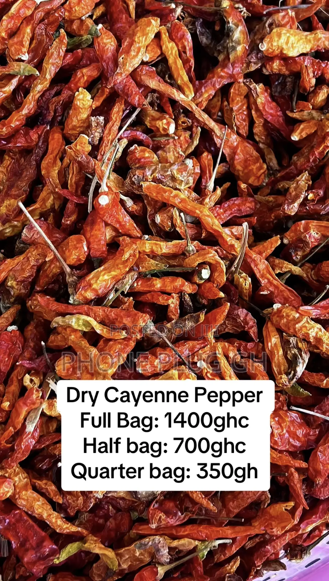 Dry Chilli Pepper
