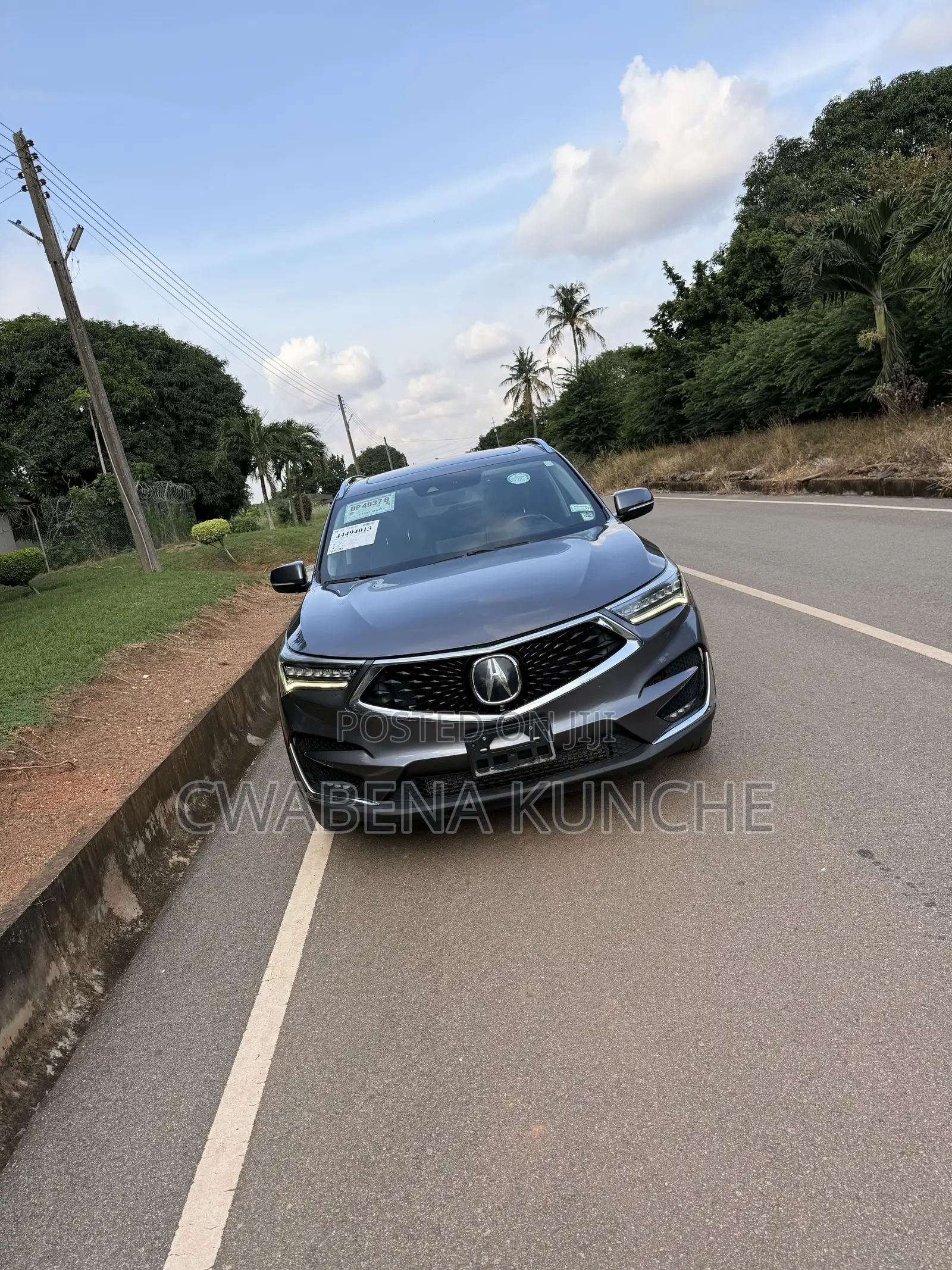 Acura RDX Advance Pkg AWD 2019 Gray