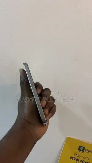 Apple iPhone 15 Pro 256 GB Silver