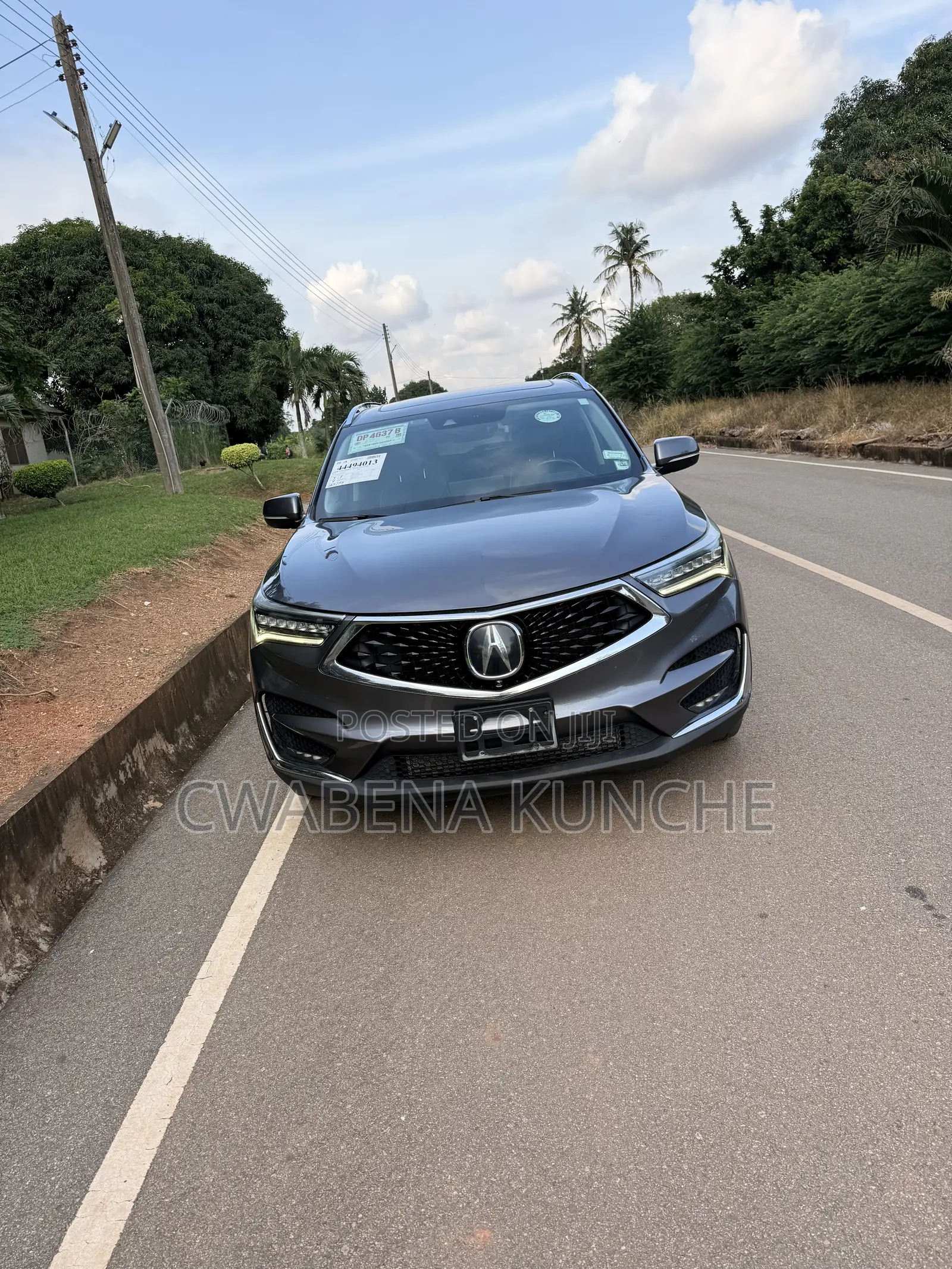 Acura RDX Advance Pkg AWD 2019 Gray