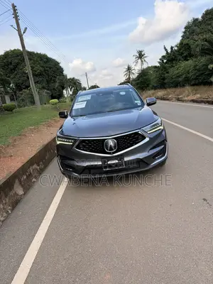 Acura RDX Advance Pkg AWD 2019 Gray