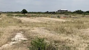 Own Your Dream Land in Tsopoli Today!