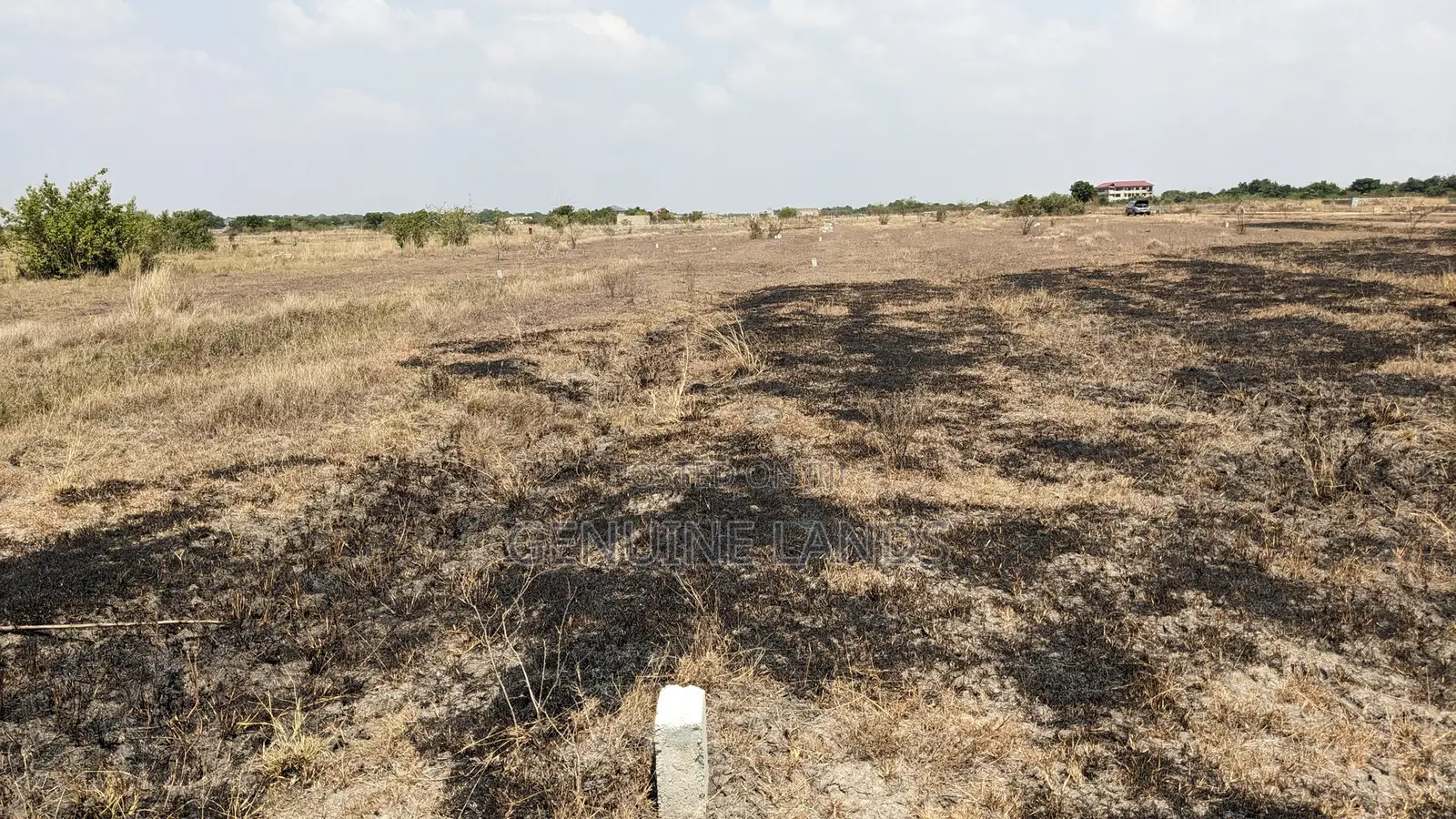 Own Your Dream Land in Tsopoli Today!