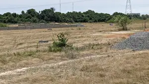 Buy Now, Land for Sale