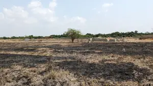 Buy Now, Land for Sale