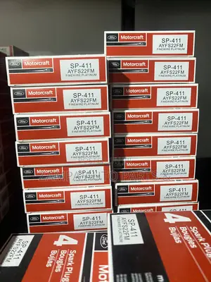Motorcraft Spark Plugs (16- 16long Plug )