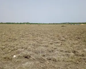 Best Developing Area
