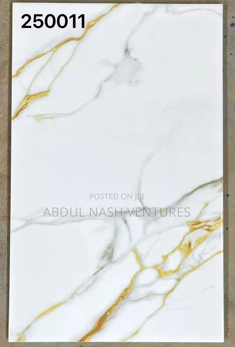 25*40 for Bathroom Wall and Kitchen Wall