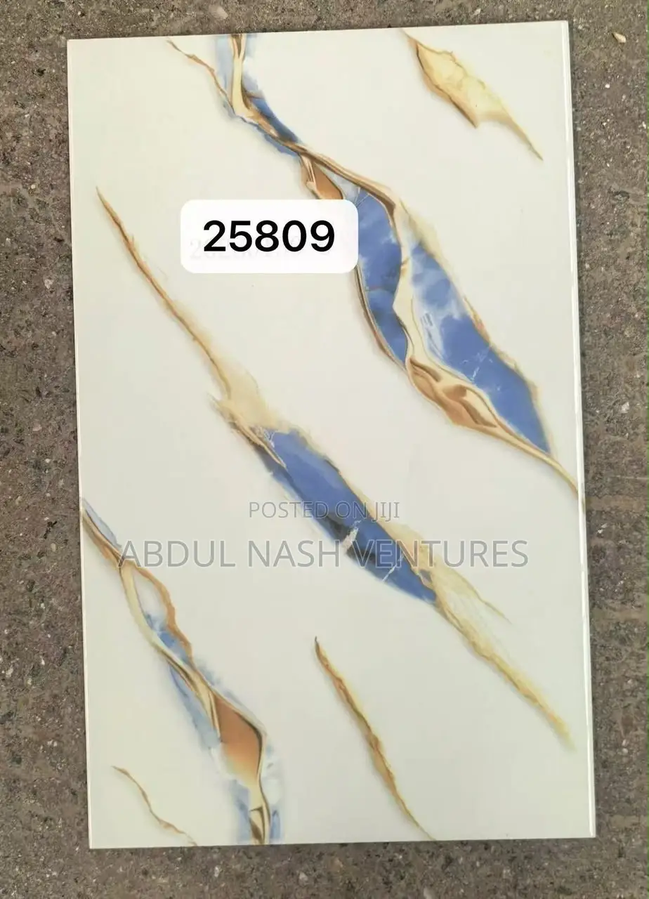 25*40 for Bathroom Wall and Kitchen Wall