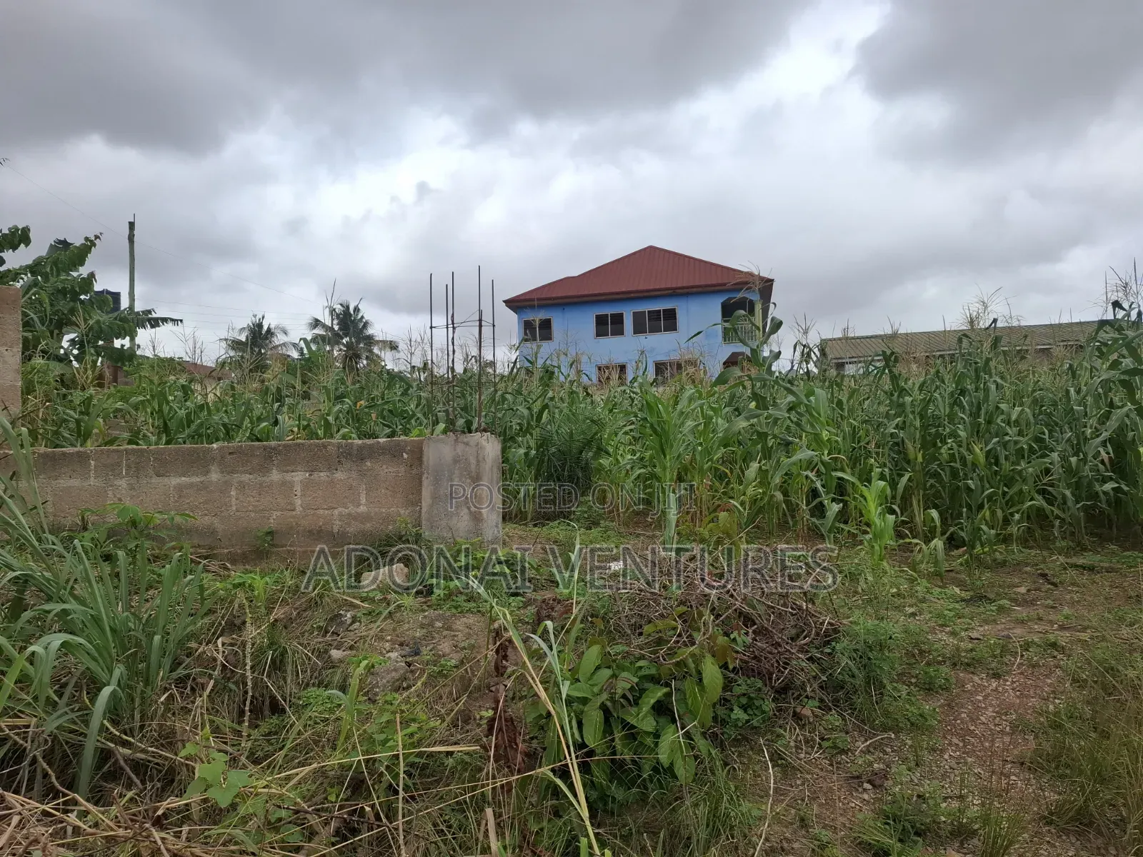 Full Plot of Land for Sale in Daban